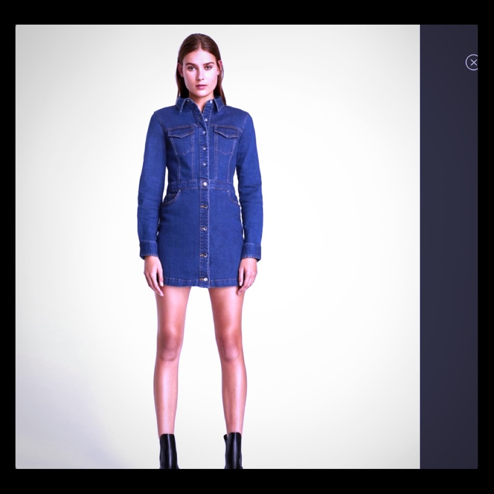 Zara Denim dress